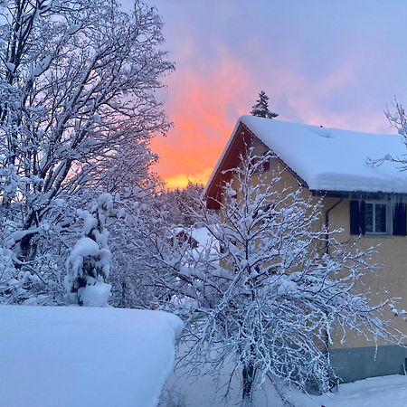 Ferienwohnung Haus Am Bach In Toggenburg Wildhaus Bagian luar foto