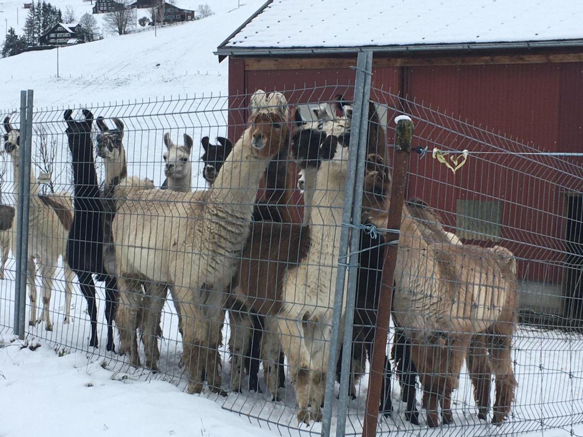 Ferienwohnung Haus Am Bach In Toggenburg Wildhaus Bagian luar foto