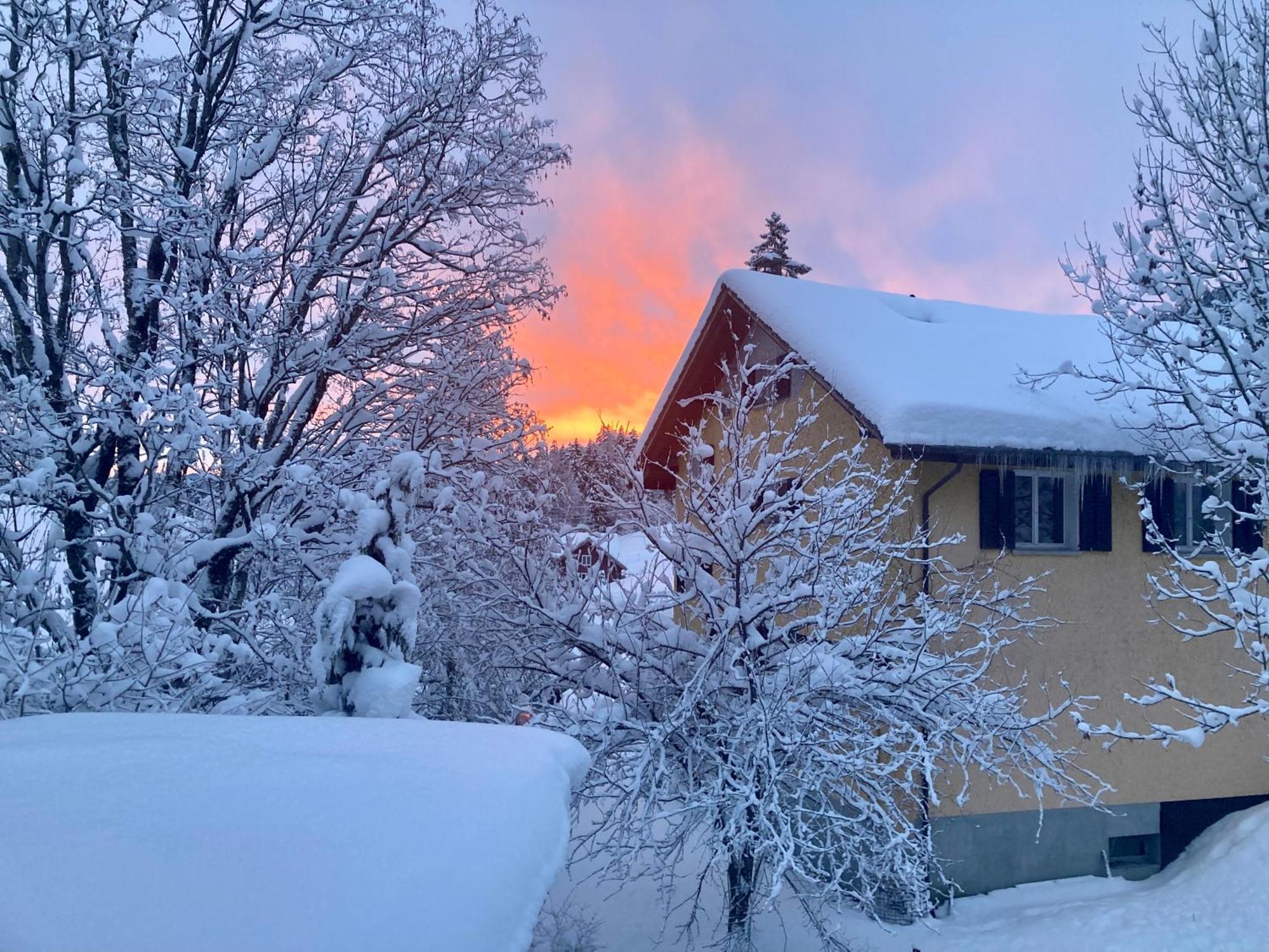 Ferienwohnung Haus Am Bach In Toggenburg Wildhaus Bagian luar foto